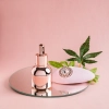 Zestaw akcesoriów - HighOnLove Objects of Desire Gift Set